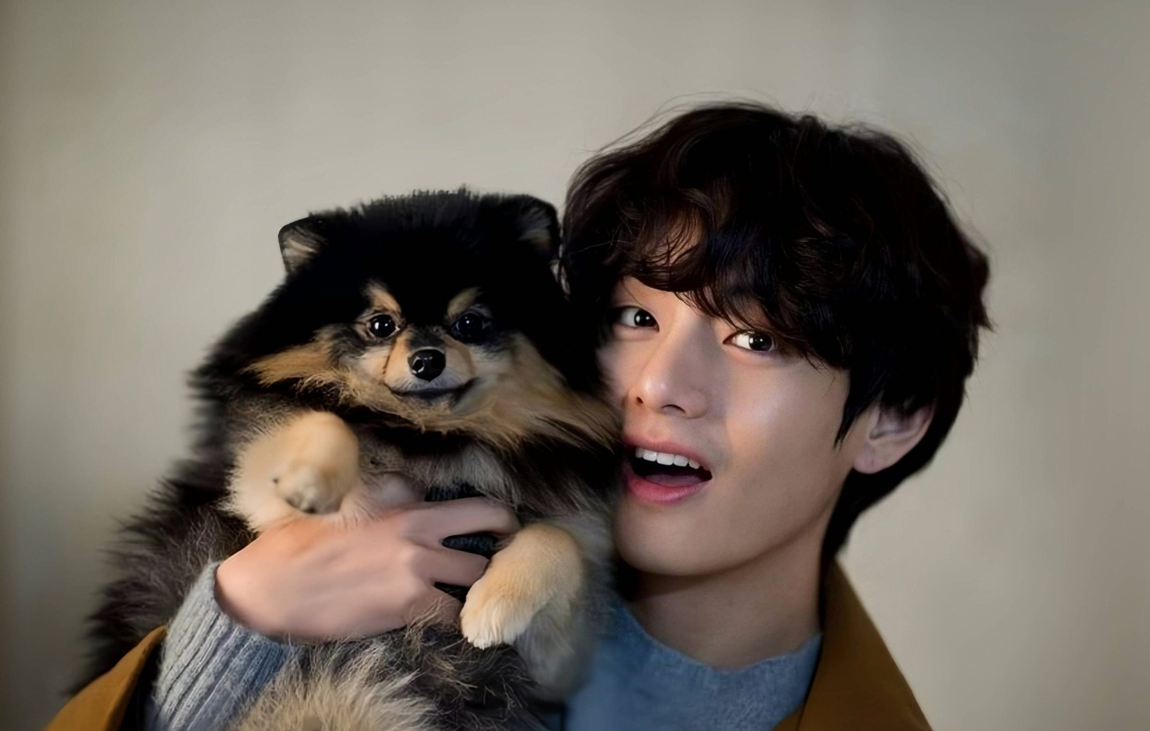 Cachorro Do V Do Bts