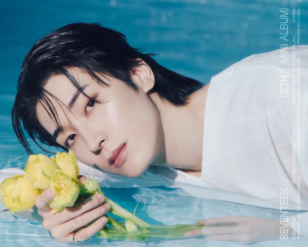 SEVENTEEN_Wonwoo_Spill_the_Fee